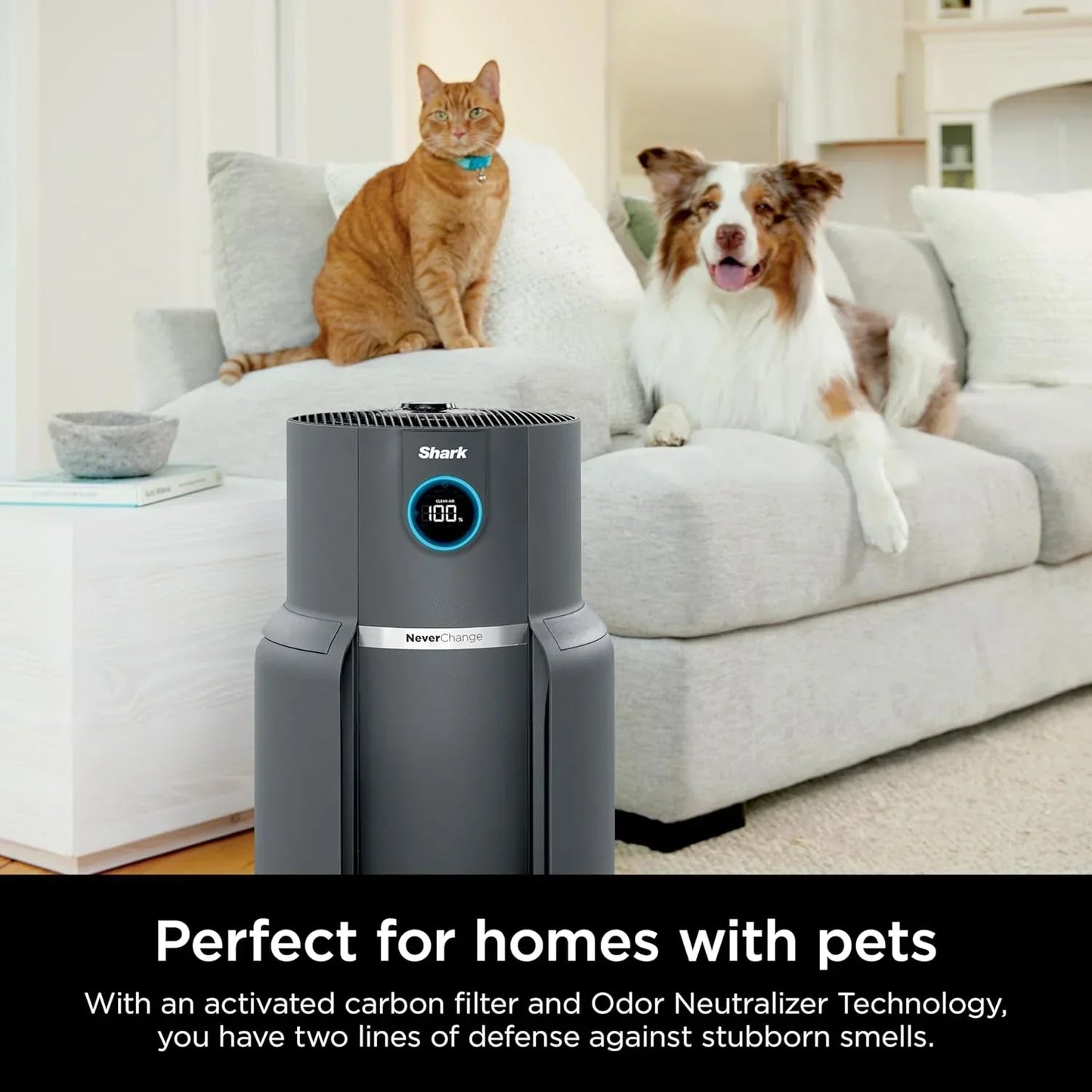Air Purifier Compact Pro with Long-lasting HEPA Exceeding Filtration For Pet Dander Dust Smoke