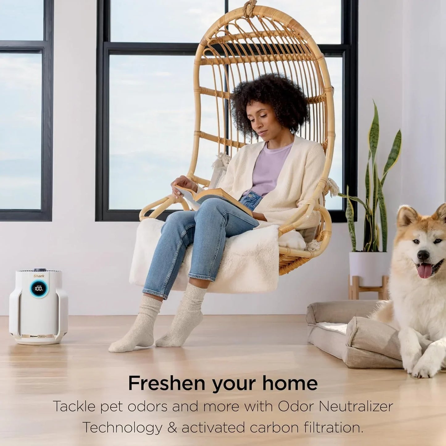Air Purifier Compact Pro with Long-lasting HEPA Exceeding Filtration For Pet Dander Dust Smoke