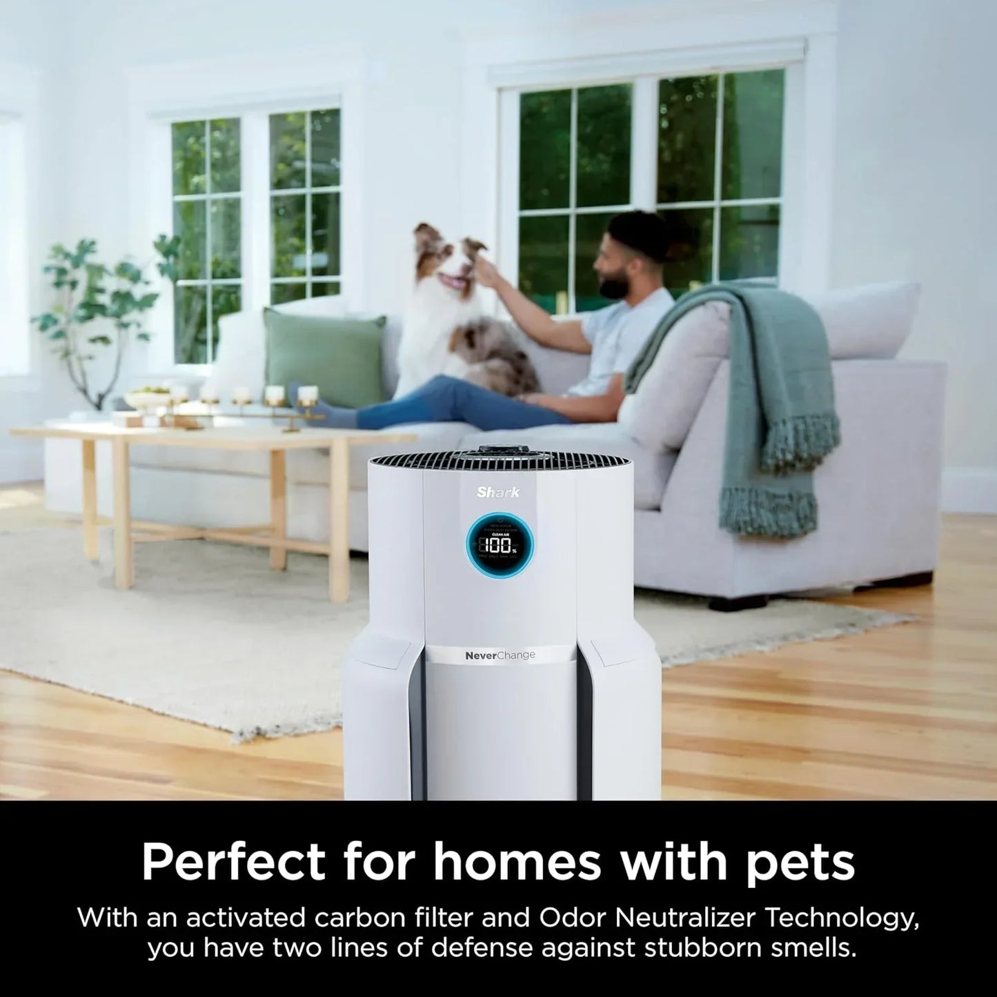 Air Purifier Compact Pro with Long-lasting HEPA Exceeding Filtration For Pet Dander Dust Smoke