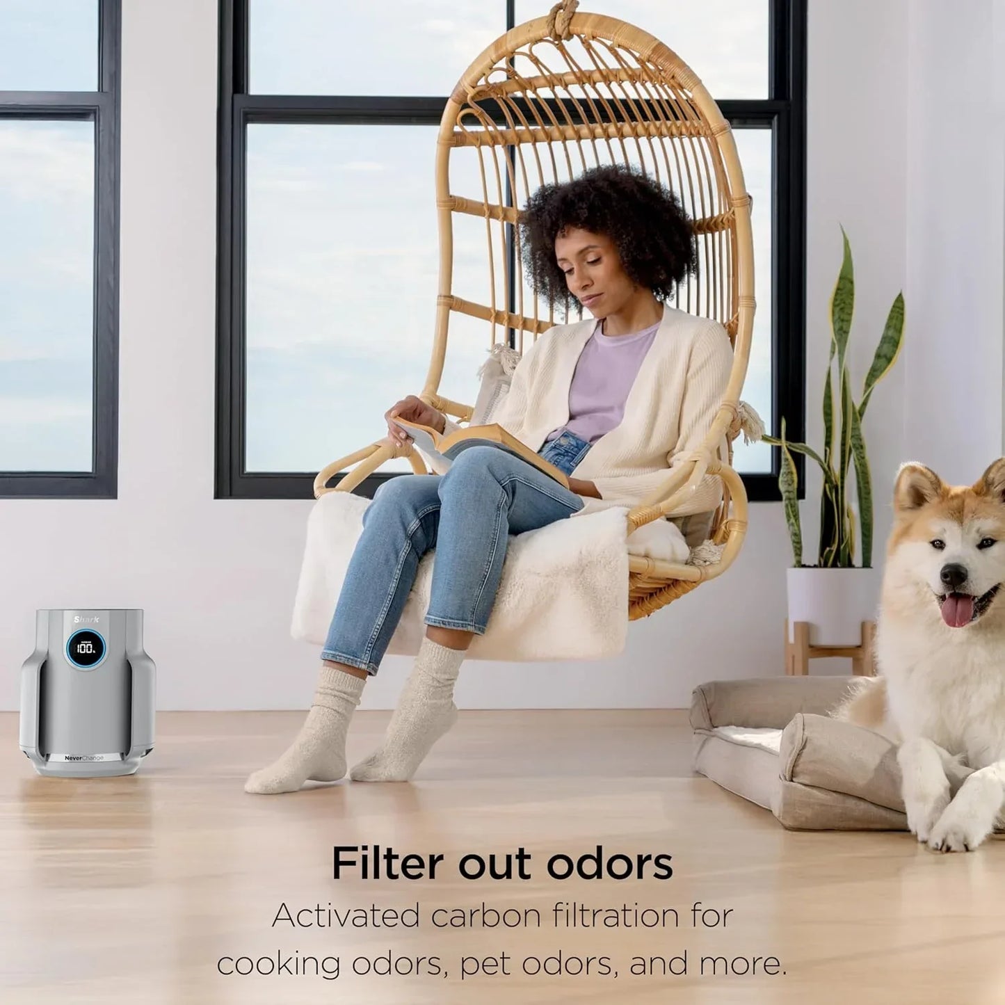 Air Purifier Compact Pro with Long-lasting HEPA Exceeding Filtration For Pet Dander Dust Smoke